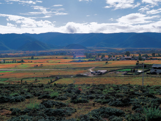 香格里拉小中甸