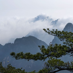 黄山风景区 景点模块