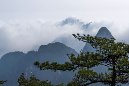 <黄山3日游>含（黄山大门票丨天湖景区丨7D幻景玻璃桥丨玻璃滑道丨全陪导游服务丨含上行缆车）宿住山上西海饭店丨纯玩0购物
