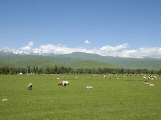 明道庵观光休养牧场