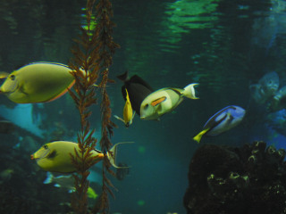 大连圣亚海洋世界