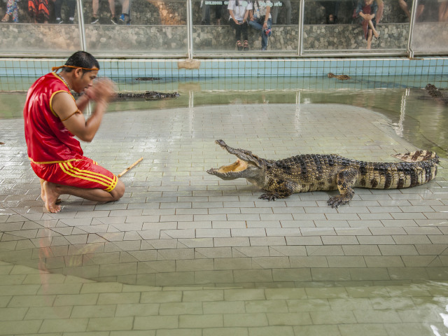 北榄鳄鱼湖动物园