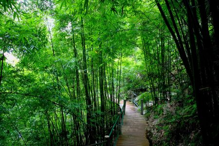 <千岛湖3日游>宿千岛湖酒店湖景房 含2早2正 乘百万游艇观光千岛湖 登私墅山顶观景台 穿越原始森林氧吧 赠千岛湖环湖骑行 <千岛湖3日游>宿千岛湖酒店湖景房 含2早2正 乘百万游艇观光千岛湖 登私墅山顶观景台 穿越原始森林氧吧 赠千岛湖环湖骑行