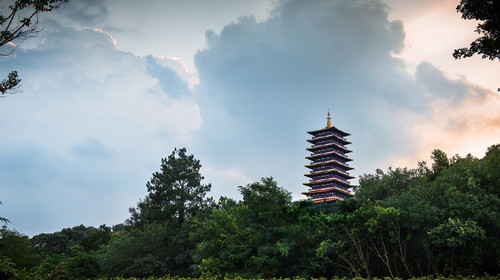  華東三市-南京-揚州-泰州-南通3日遊>醉在瘦西湖,尚湖賞花