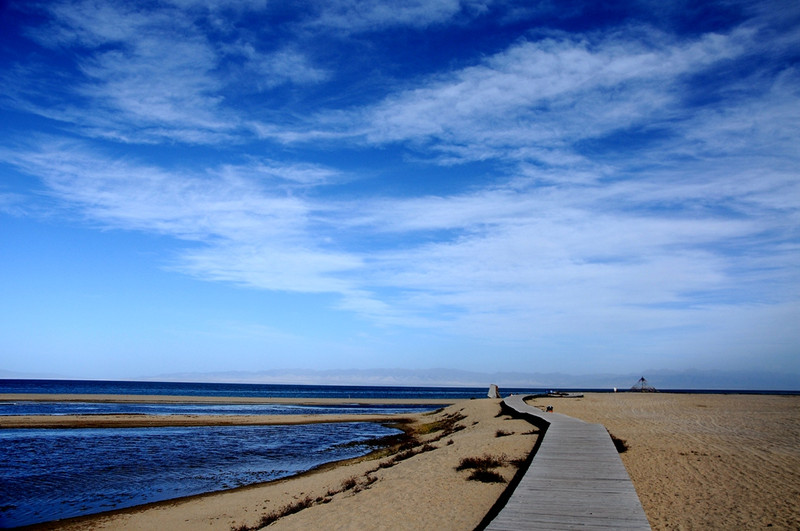 青海湖面积达4635_青海湖面积达4635什么