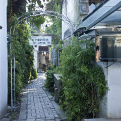 活动模块 