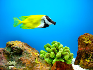 上海长风海洋世界