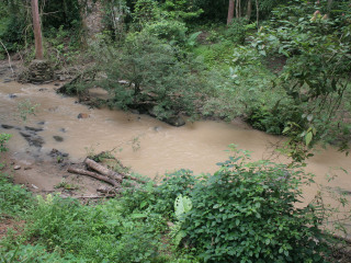 热带雨林自然保护区