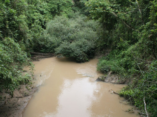 热带雨林自然保护区