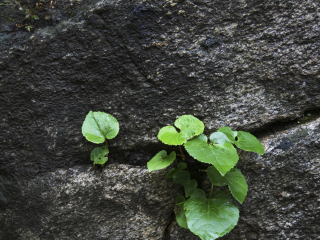 黑龙潭自然风景区