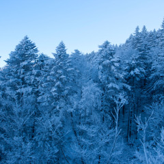 八达岭滑雪场