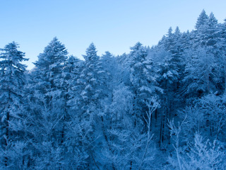 八达岭滑雪场