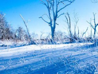 龙珠二龙山滑雪场