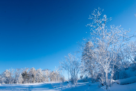 <哈尔滨+亚布力滑雪+雪乡4日亲子游>私享SUV/拍泼水成冰/双雪地温泉/DIY套娃/雪地烟火/雪地摩托/趣享2108元娱雪礼包/不限时滑雪