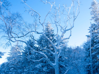 吉华（长寿山）滑雪场