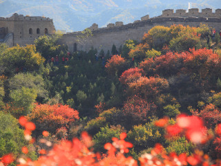 八达岭国家森林公园
