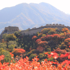 八达岭国家森林公园