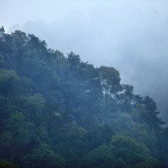 宝台山森林公园