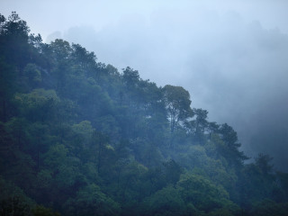 宝台山森林公园
