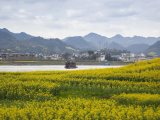 新安江山水画廊