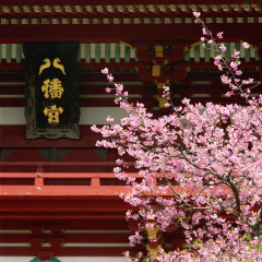 八幡宫
