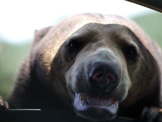 八达岭野生动物园