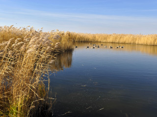 哈尔滨白渔泡国家湿地公园