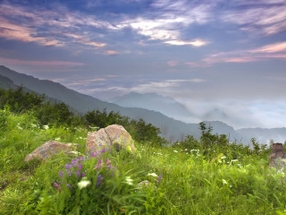 松山森林公园