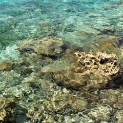 马里亚纳海沟