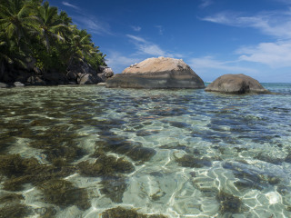 维多利亚海洋公园