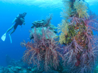 德贝潜水水上运动中心