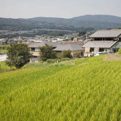 奈良县