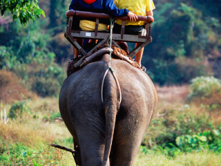 巴厘岛野生动物园