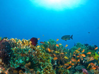 美丽海万国海洋公园