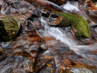 湖州安吉藏龙百瀑