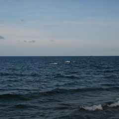 冠头岭