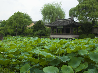 沈园景区