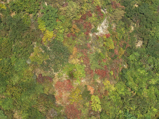 天竺山森林公园