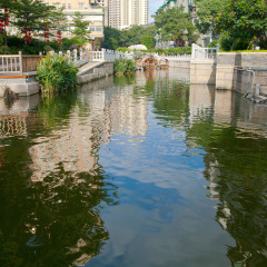 荔枝湾