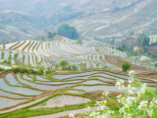 元阳梯田