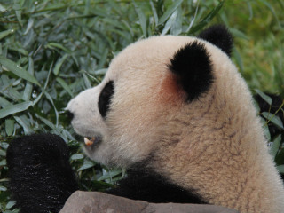 厦门海沧野生动物园