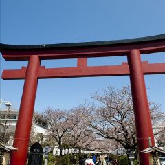 景点模块 