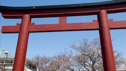 大阪 京都 富士箱根 东京 镰仓 茨城七天六晚跟团游 都厅展望台 鹤冈八幡宫 金阁寺 山中湖 镰仓大佛 江之岛 祗园 八坂神社 出发 途牛