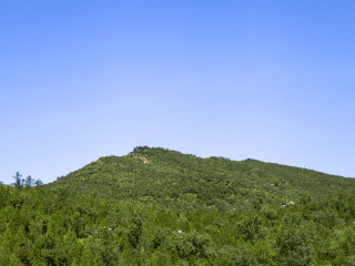 松峰山自然保护区