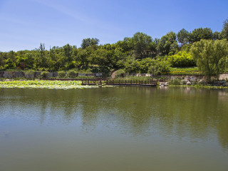 五缘湾湿地公园
