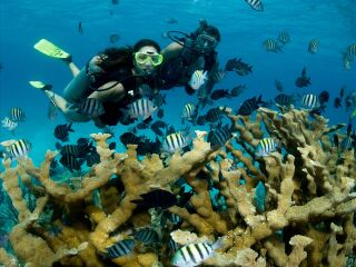 德贝潜水水上运动中心