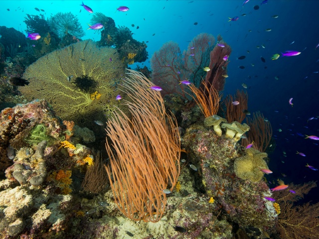 斯里兰卡跟团游+马尔代夫自由行8晚10日游 含