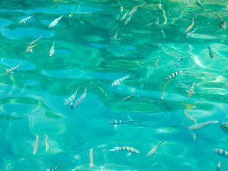 美丽海万国海洋公园