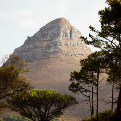 讯号山