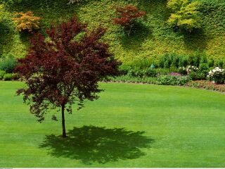 塞舌尔国家植物园